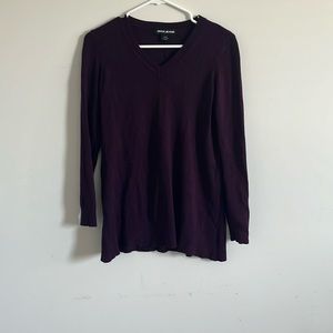 DKNY jeans size small V-neck sweater